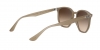 RB4306 Sunglasses
