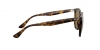 RB4306 Sunglasses