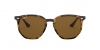 RB4306 Sunglasses