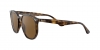 RB4306 Sunglasses