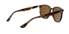 RB4306 Sunglasses