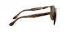 RB4306 Sunglasses
