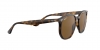 RB4306 Sunglasses
