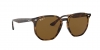 RB4306 Sunglasses