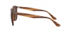 RB4306 Sunglasses