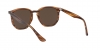 RB4306 Sunglasses