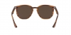 RB4306 Sunglasses