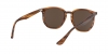 RB4306 Sunglasses