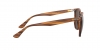 RB4306 Sunglasses