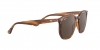 RB4306 Sunglasses