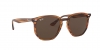 RB4306 Sunglasses