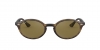 RB4315 Sunglasses
