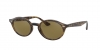 RB4315 Sunglasses