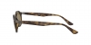 RB4315 Sunglasses