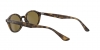 RB4315 Sunglasses