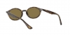 RB4315 Sunglasses