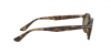 RB4315 Sunglasses