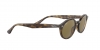 RB4315 Sunglasses