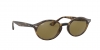 RB4315 Sunglasses
