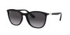 RB4315 Sunglasses