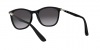 RB4315 Sunglasses