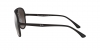 RB4320CH Sunglasses