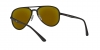 RB4320CH Sunglasses