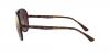 RB4320CH Sunglasses