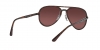 RB4320CH Sunglasses