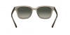 RB4323 Sunglasses