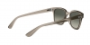 RB4323 Sunglasses
