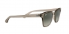 RB4323 Sunglasses