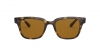 RB4323 Sunglasses