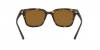 RB4323 Sunglasses