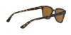 RB4323 Sunglasses