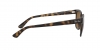 RB4323 Sunglasses