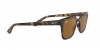 RB4323 Sunglasses