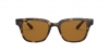RB4323 Sunglasses