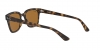RB4323 Sunglasses