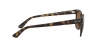 RB4323 Sunglasses