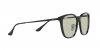 RB4333D Sunglasses