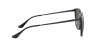 RB4333D Sunglasses