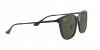 RB4333D Sunglasses