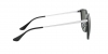 RB4333D Sunglasses