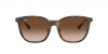 RB4333D Sunglasses
