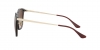 RB4333D Sunglasses
