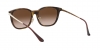 RB4333D Sunglasses