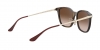 RB4333D Sunglasses