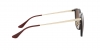 RB4333D Sunglasses