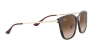 RB4333D Sunglasses